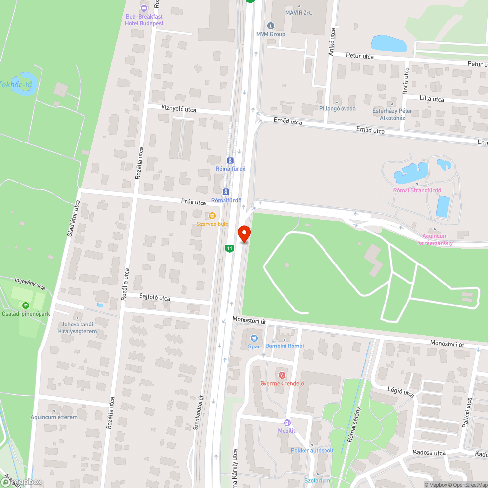 Eldugult víznyelő bejelentés helye