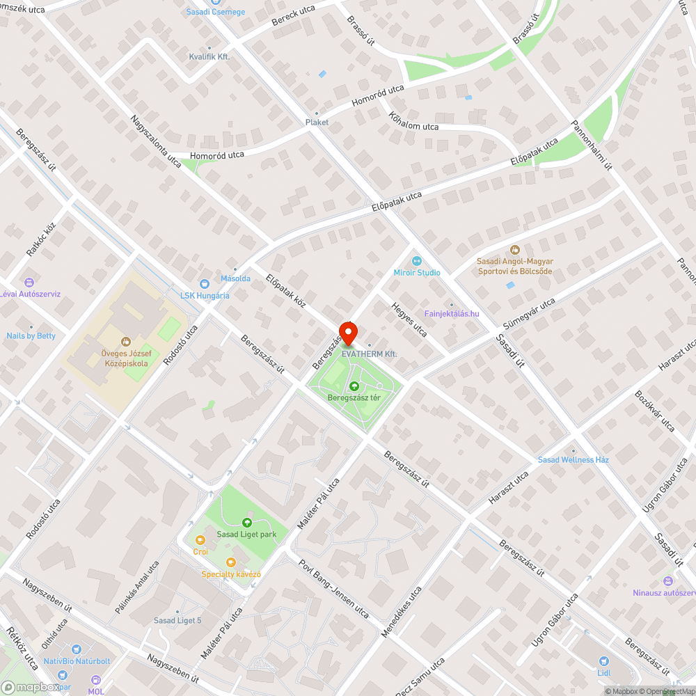 Szemetes Beregszász tér bejelentés helye