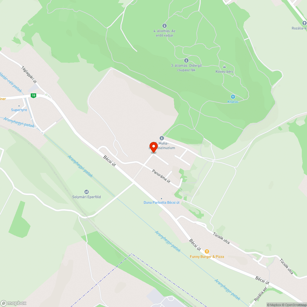 Zöldhulladék a Kövesbérci úton bejelentés helye