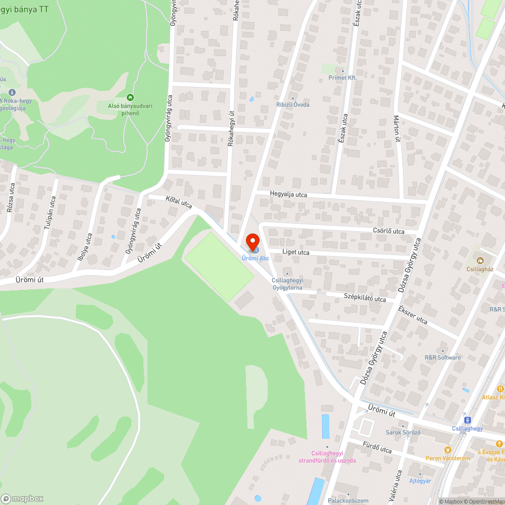 Eltömődött és nem elegendő kapacitású víznyelő bejelentés helye