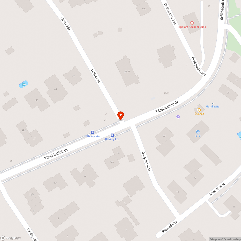 Patkánytetem a törökbálinti és lidérc köz sarkan bejelentés helye