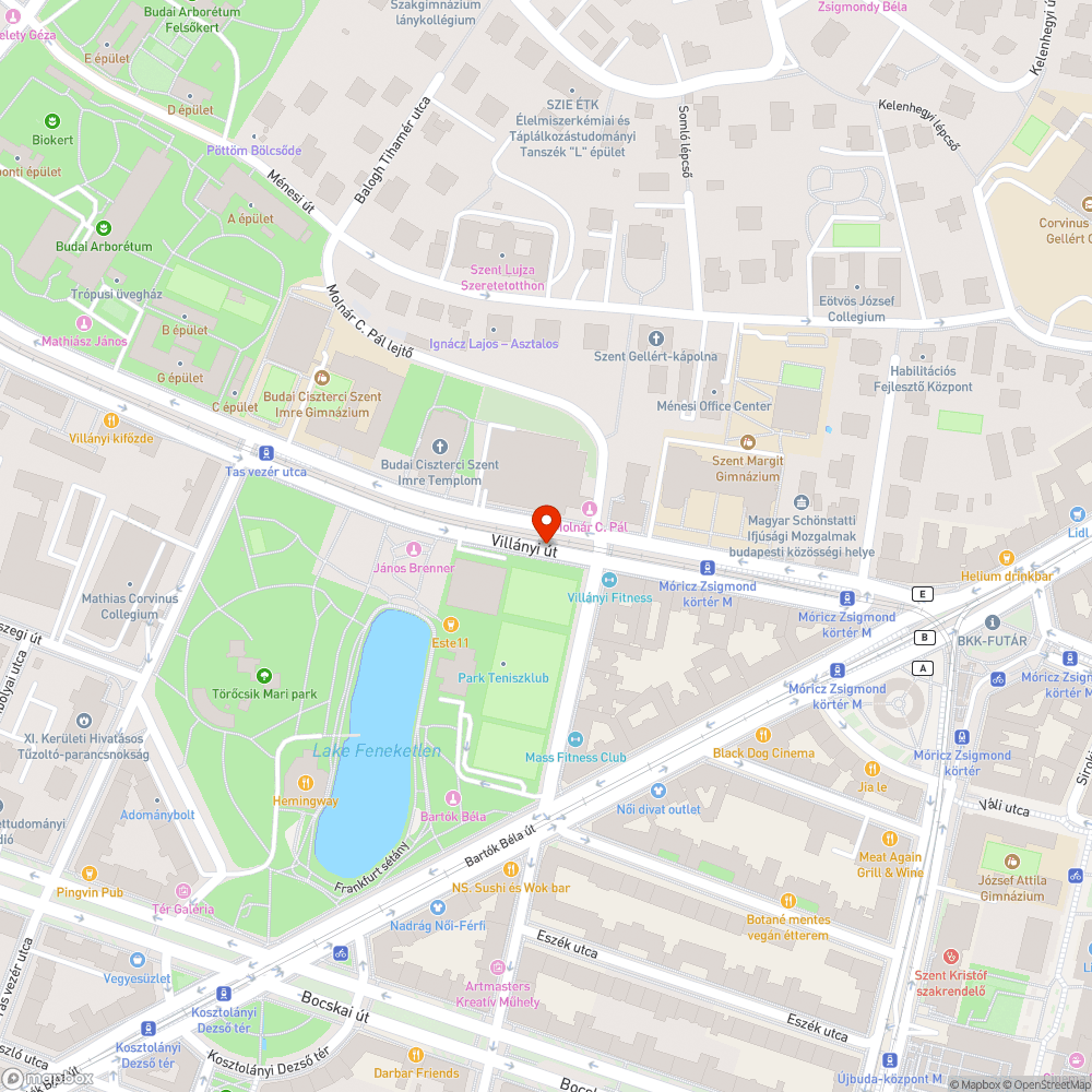 Elszáradt fa bejelentés helye