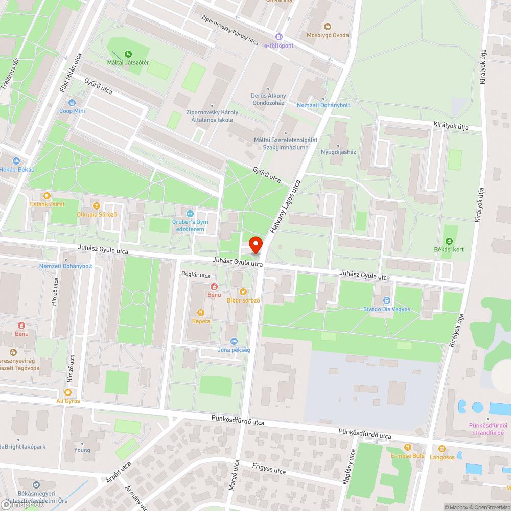 Kiszáradt fa bejelentés helye