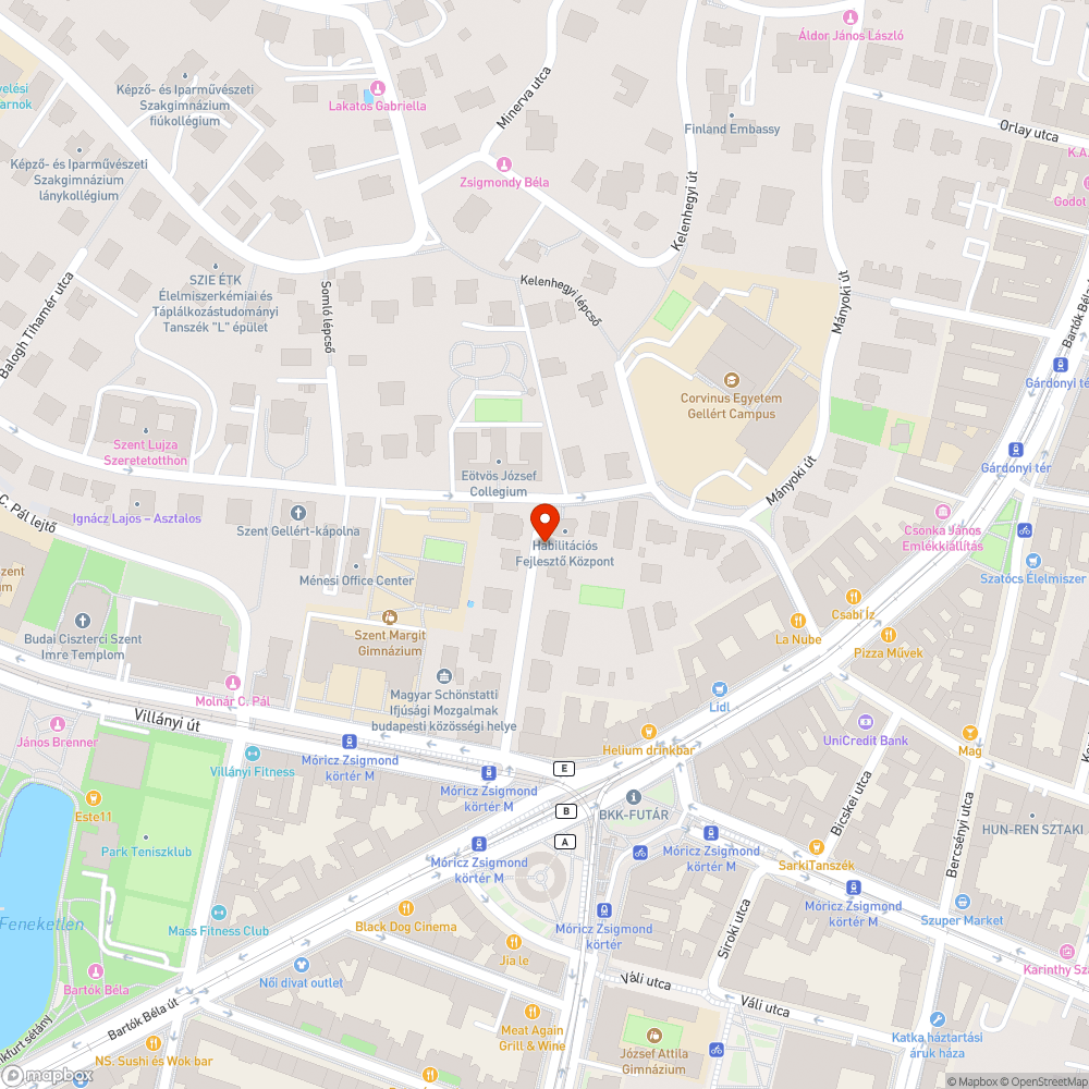 Kiszáradt fák pótlása bejelentés helye