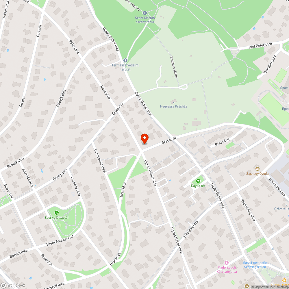 Indokolatlan akadály az úttesten a Rákó utca 60 kereszteződésében bejelentés helye