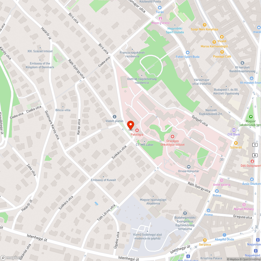 Rendszeres szabálytalan parkolás a Roskovics utcában bejelentés helye