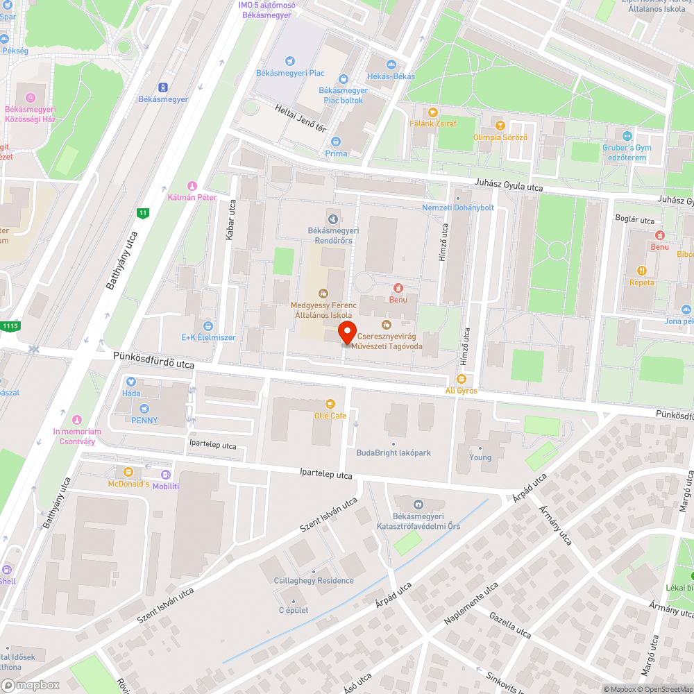 Eldugult víznyelő bejelentés helye