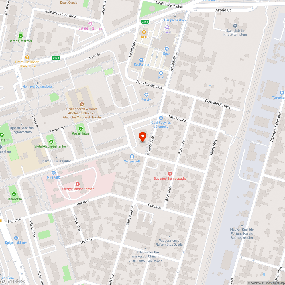 Olajjal szennyezett járda bejelentés helye