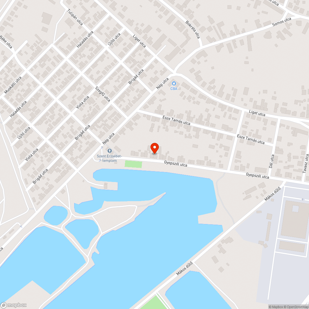 Kiszáradt fa bejelentés helye