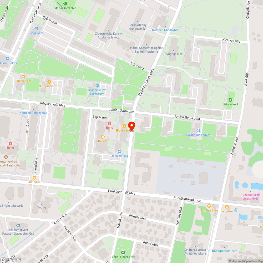 Patkány a kocsik alatt bejelentés helye