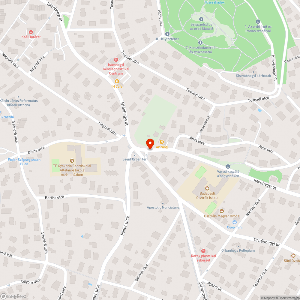 Hiányzó zebra felfestés bejelentés helye