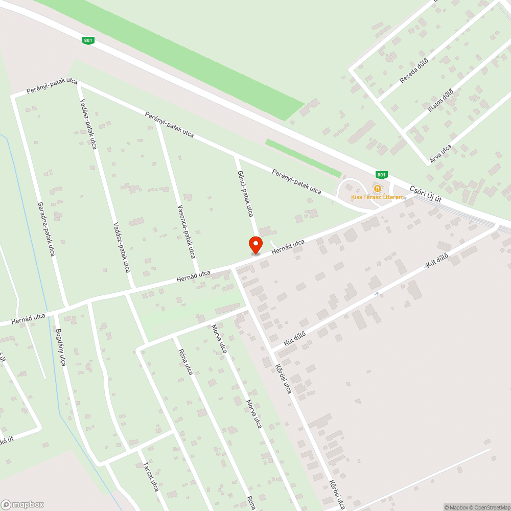 Kidölt, szúrós akácbokor az úton bejelentés helye