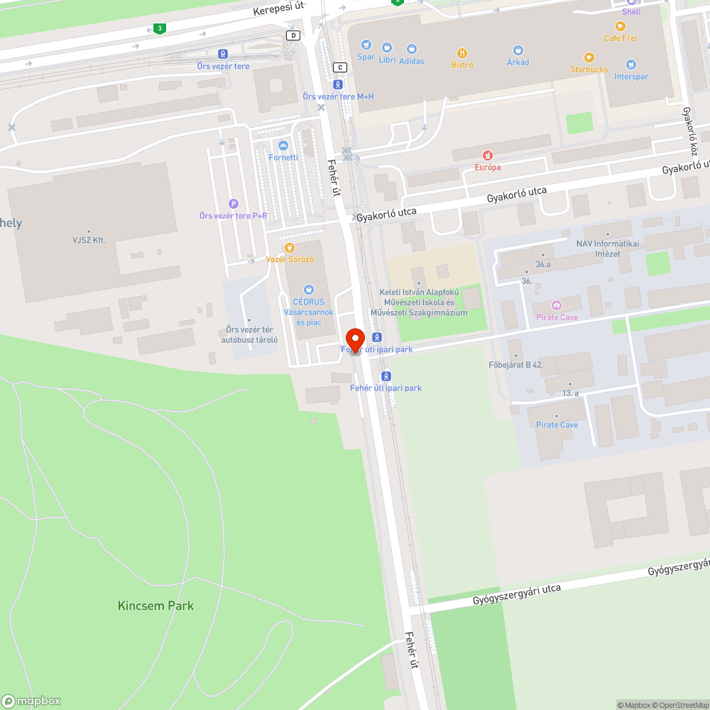 Kerékpárútra belógó gaz bejelentés helye