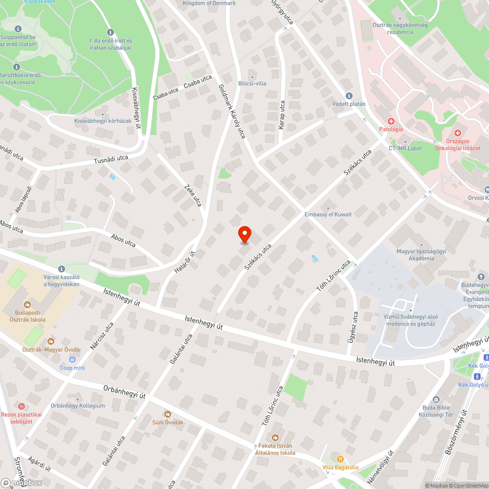 Beszakadt, széttöredezett, balesetveszélyes járda bejelentés helye