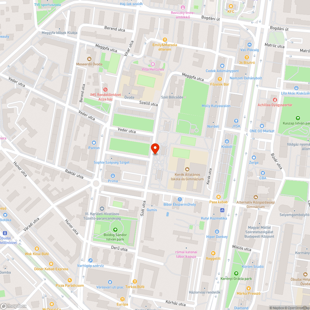 Kiszáradt faág a járda fölött bejelentés helye