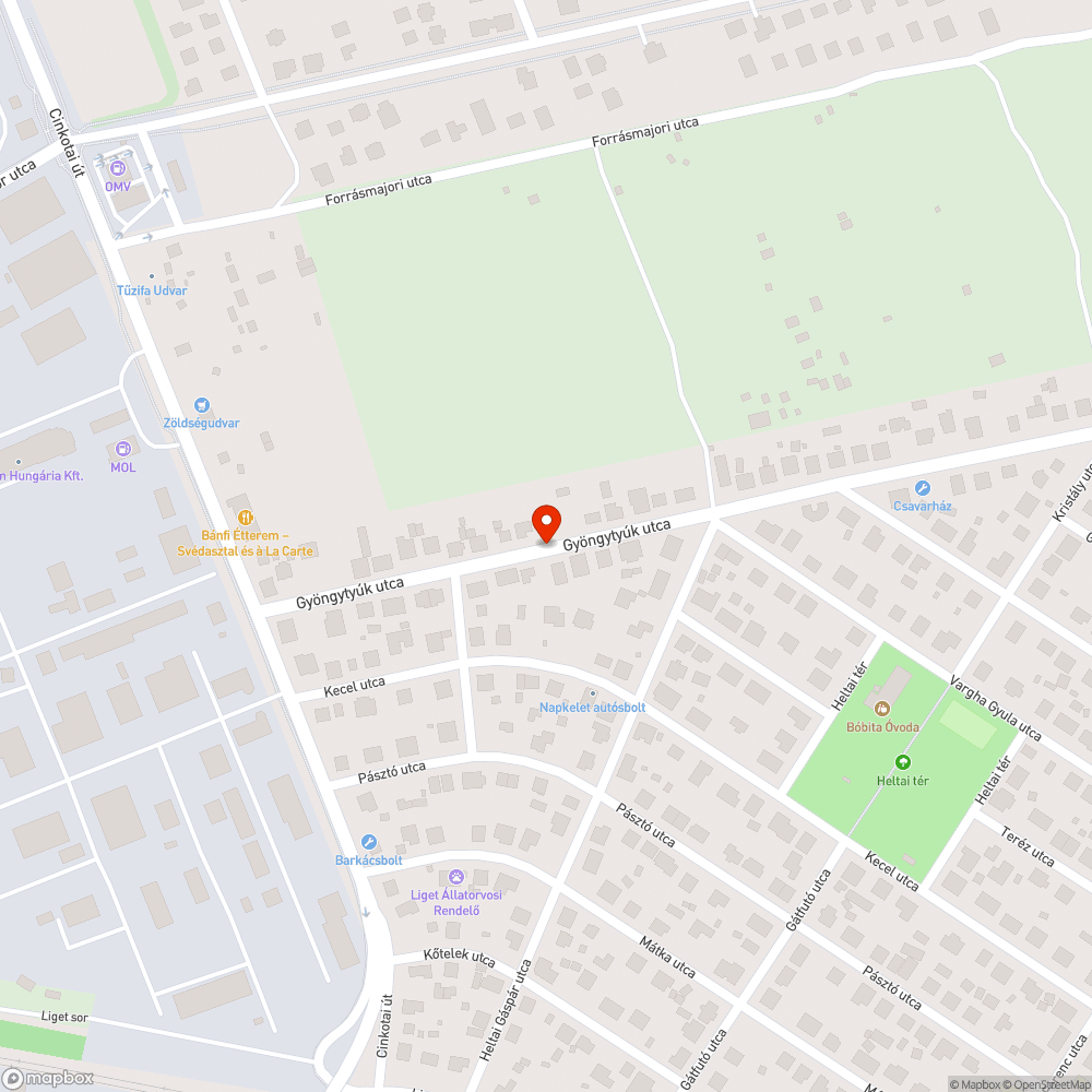 Rendszám nélkül bejelentés helye