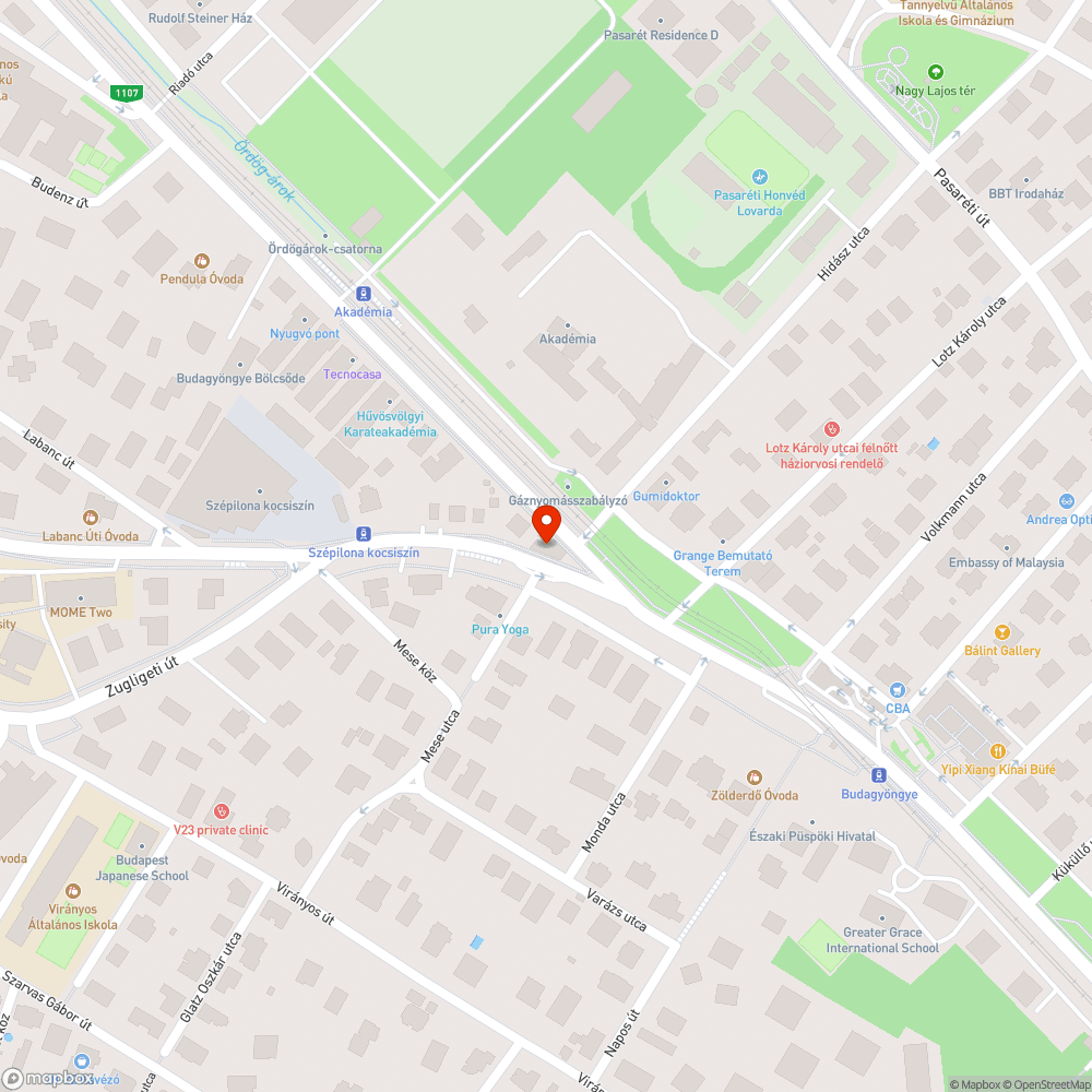 Járdából kinövő gaz a Budakeszi úton bejelentés helye