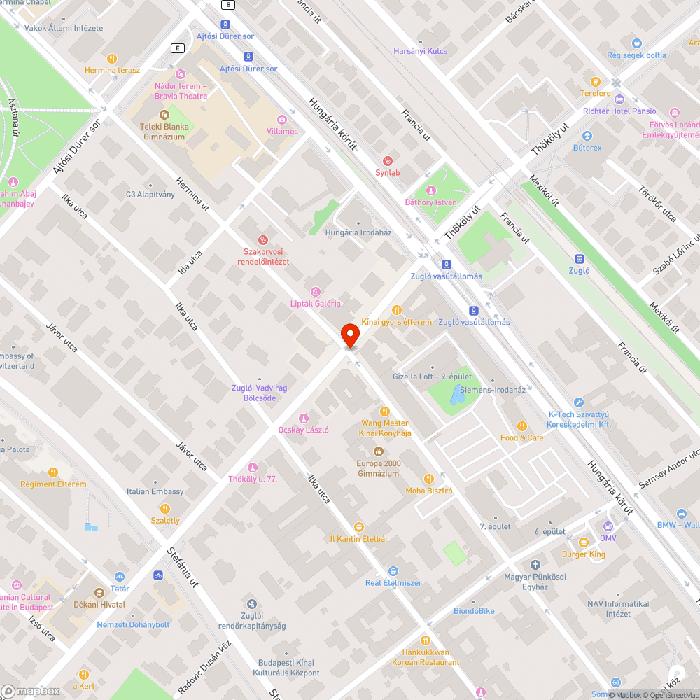 Elütött macska bejelentés helye