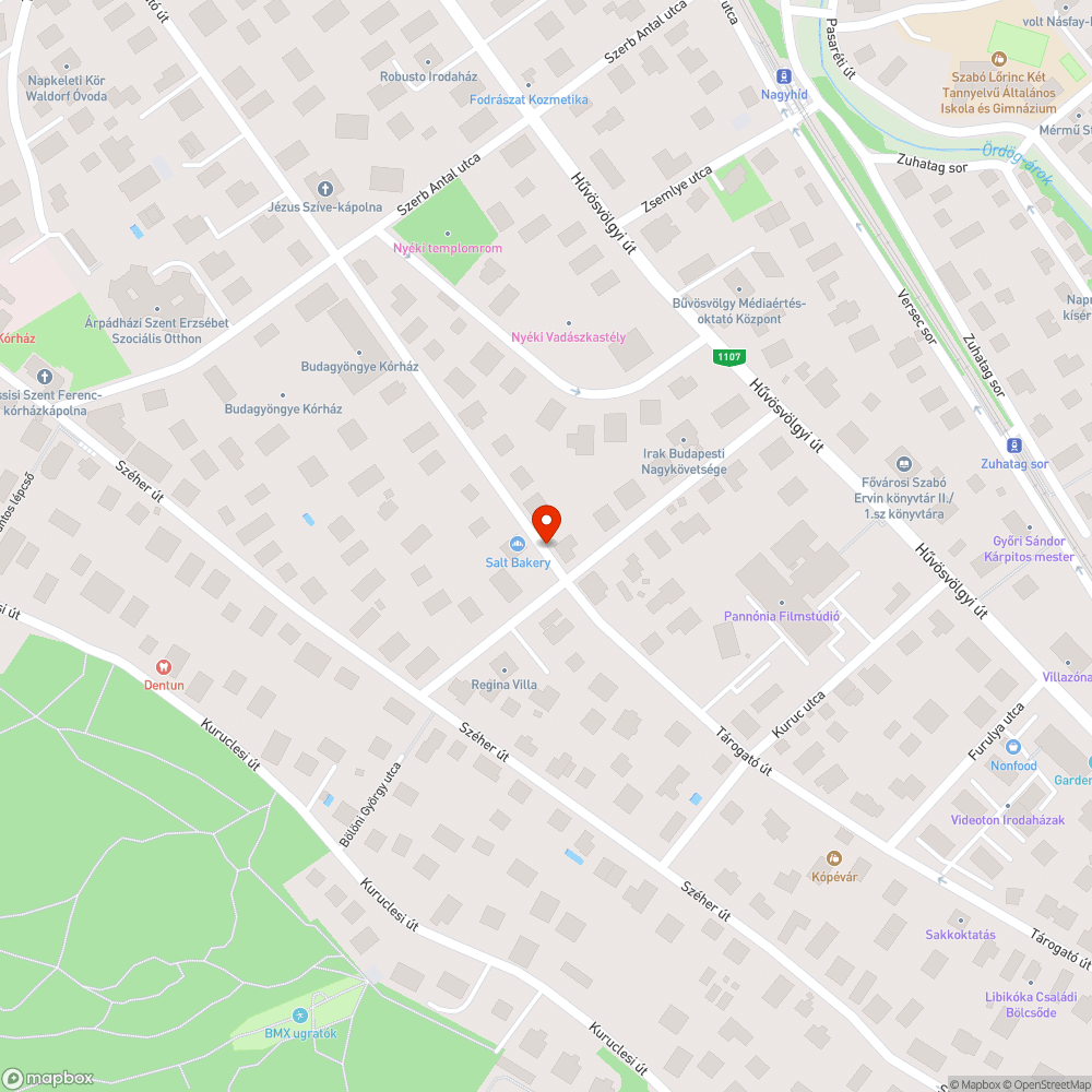 Elhagyott P-s rendszámú Mondeo a Tárogató úton bejelentés helye