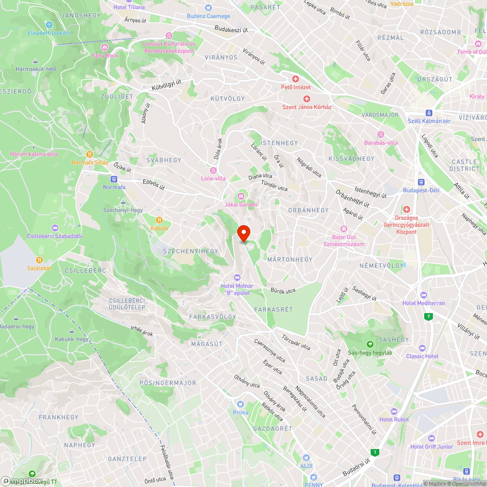 Zoldhulladek es butorszemet a Denever uton bejelentés helye