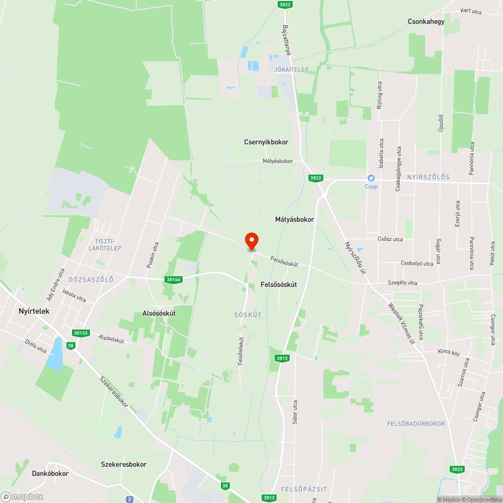 Kóbor kutyák bejelentés helye