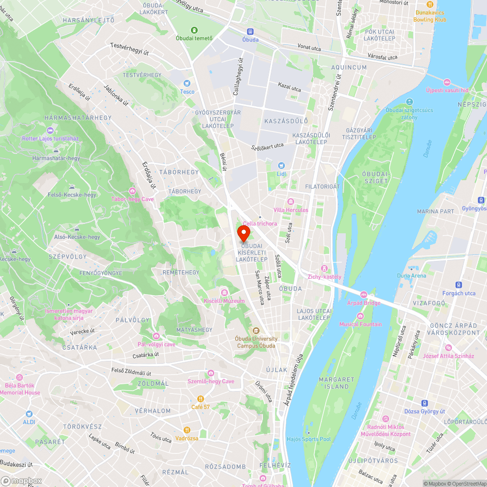 Óriáspocsolya a Váradi u. 17. panelház mögött bejelentés helye