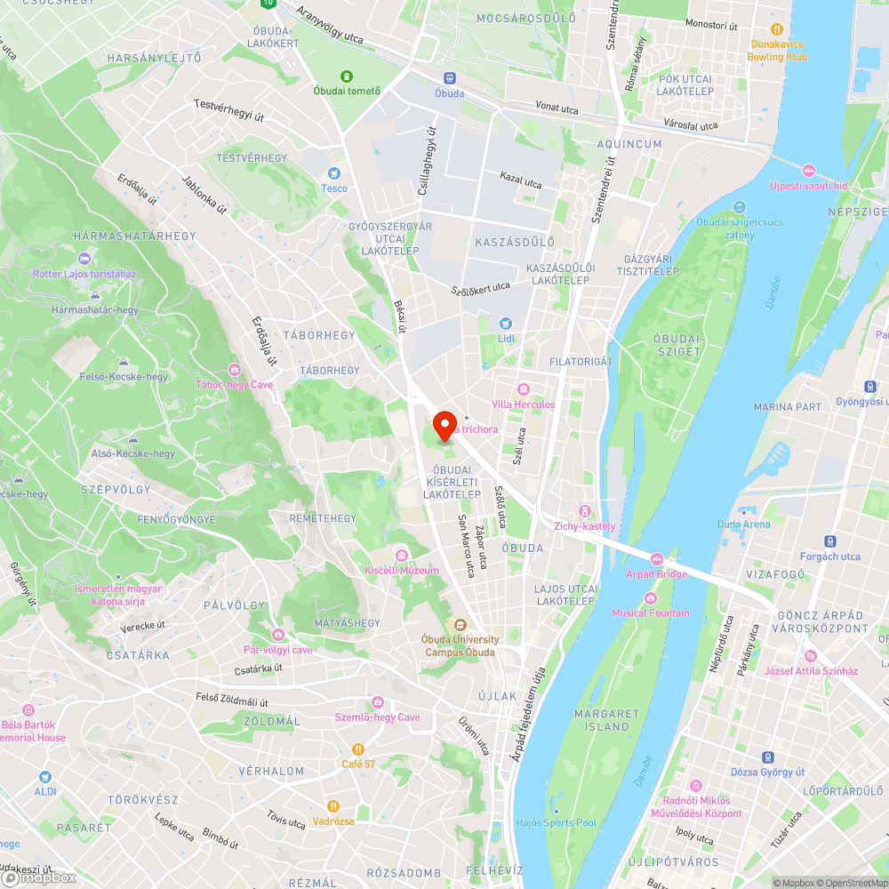 Kikerülhetetlen mély pocsolyák az óbudai járdán bejelentés helye