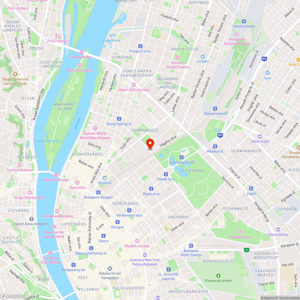 Belógó ágak Dózsa Gy. út. bejelentés helye