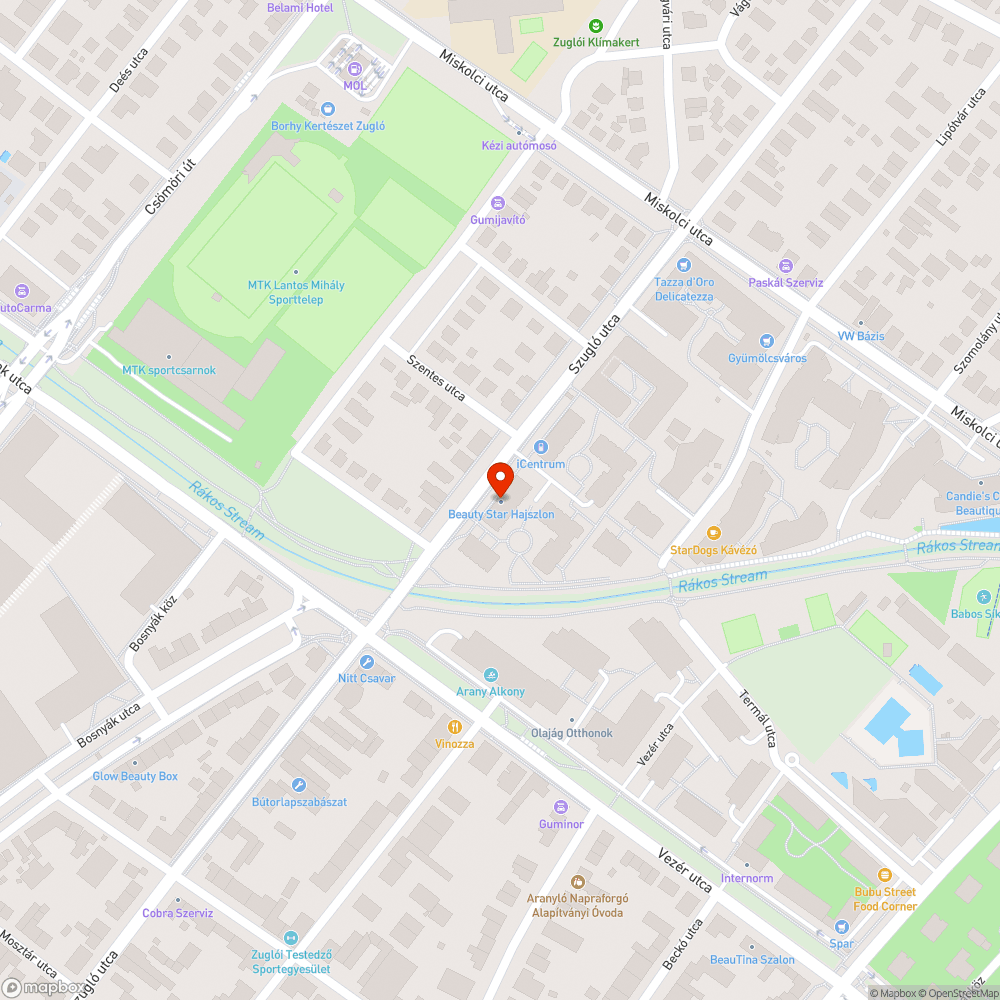 Közterületi parkolóhelyet foglaló elhagyott jármű bejelentés helye