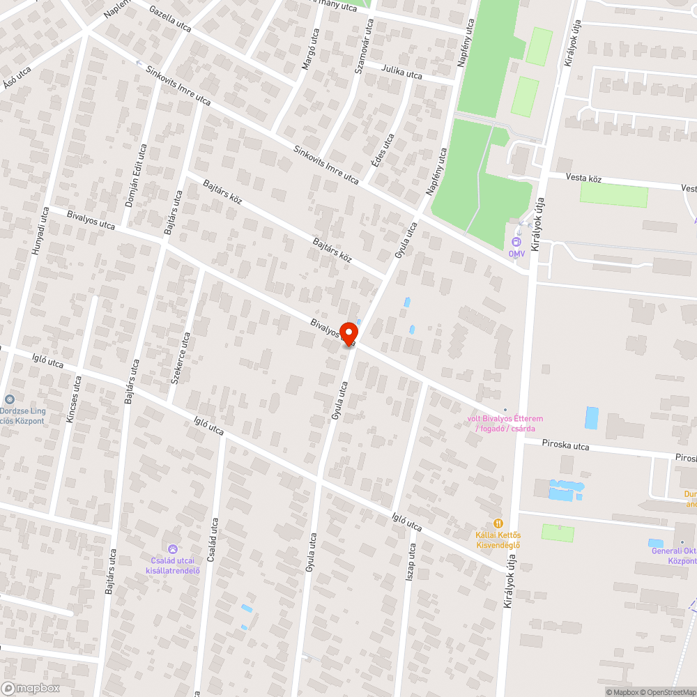 Eldugult víznyelő bejelentés helye