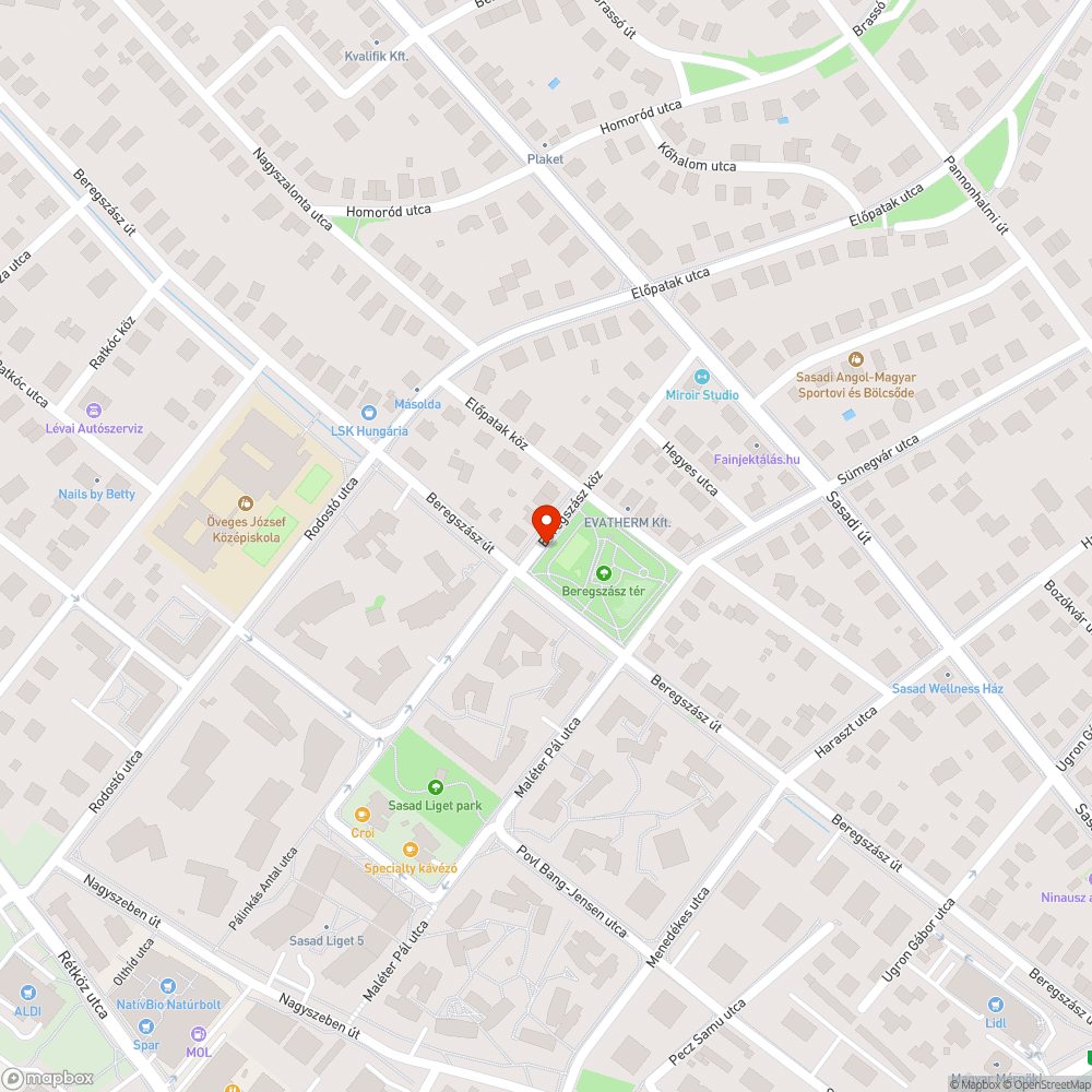 Kukák hiánya a Beregszász téren bejelentés helye