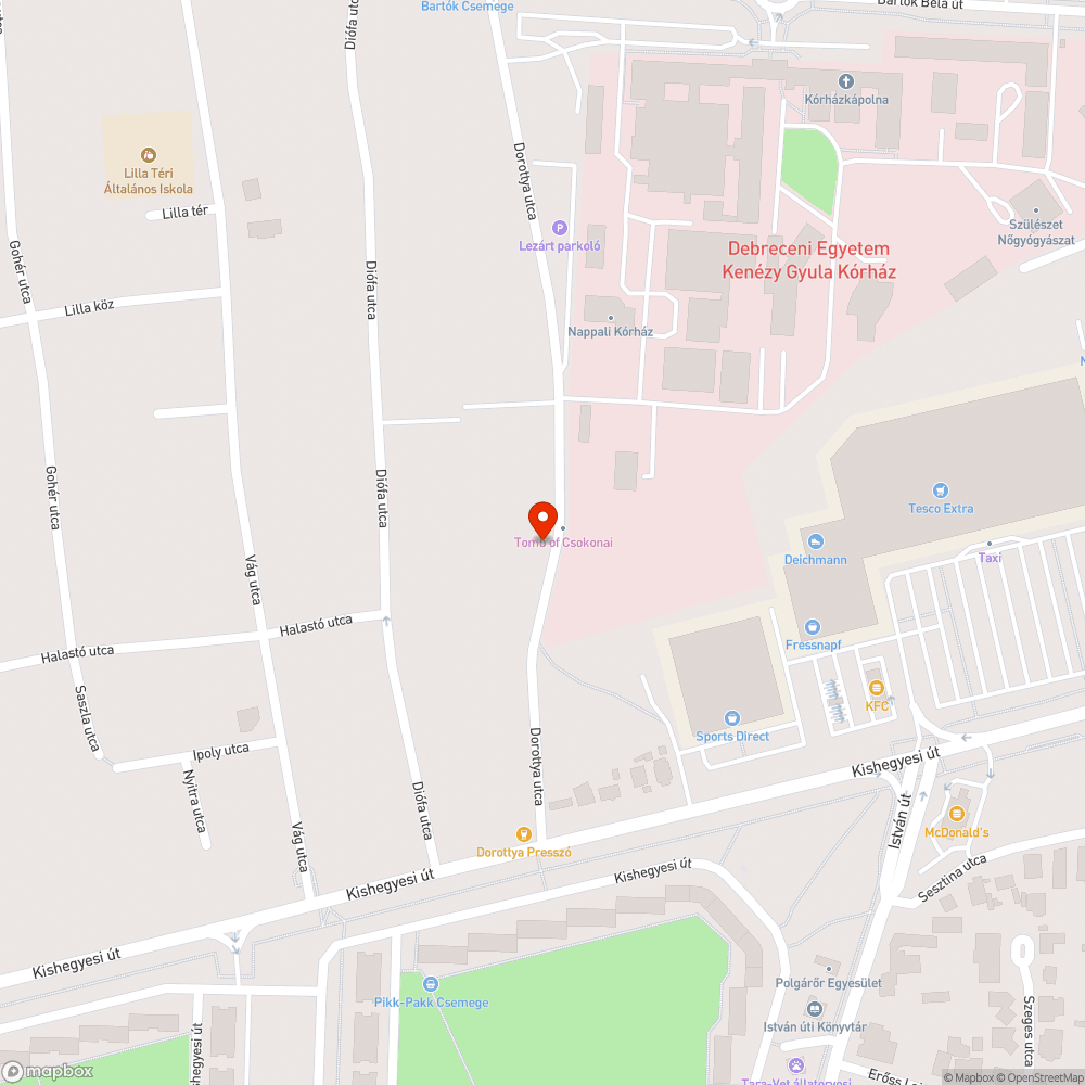 Sok szemét a Csokonai síremléknél bejelentés helye