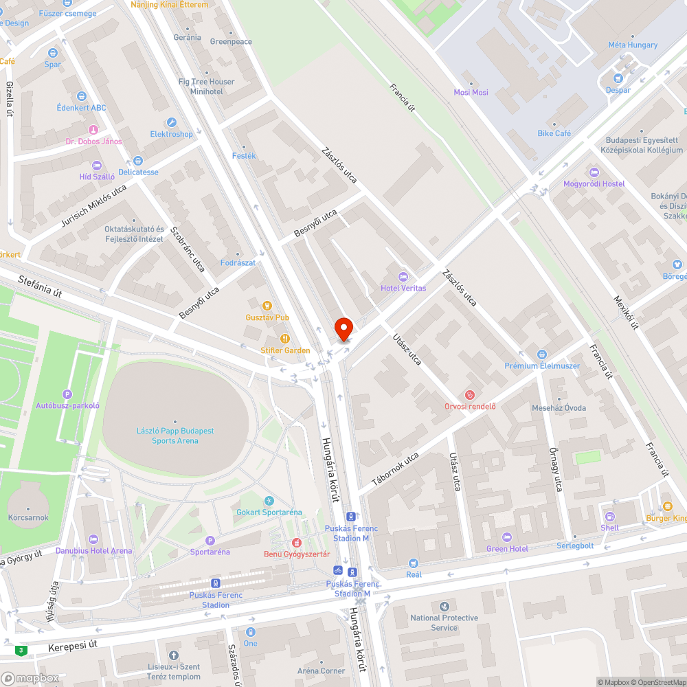 Zebra, biciklisáv felfestésének hiánya. bejelentés helye