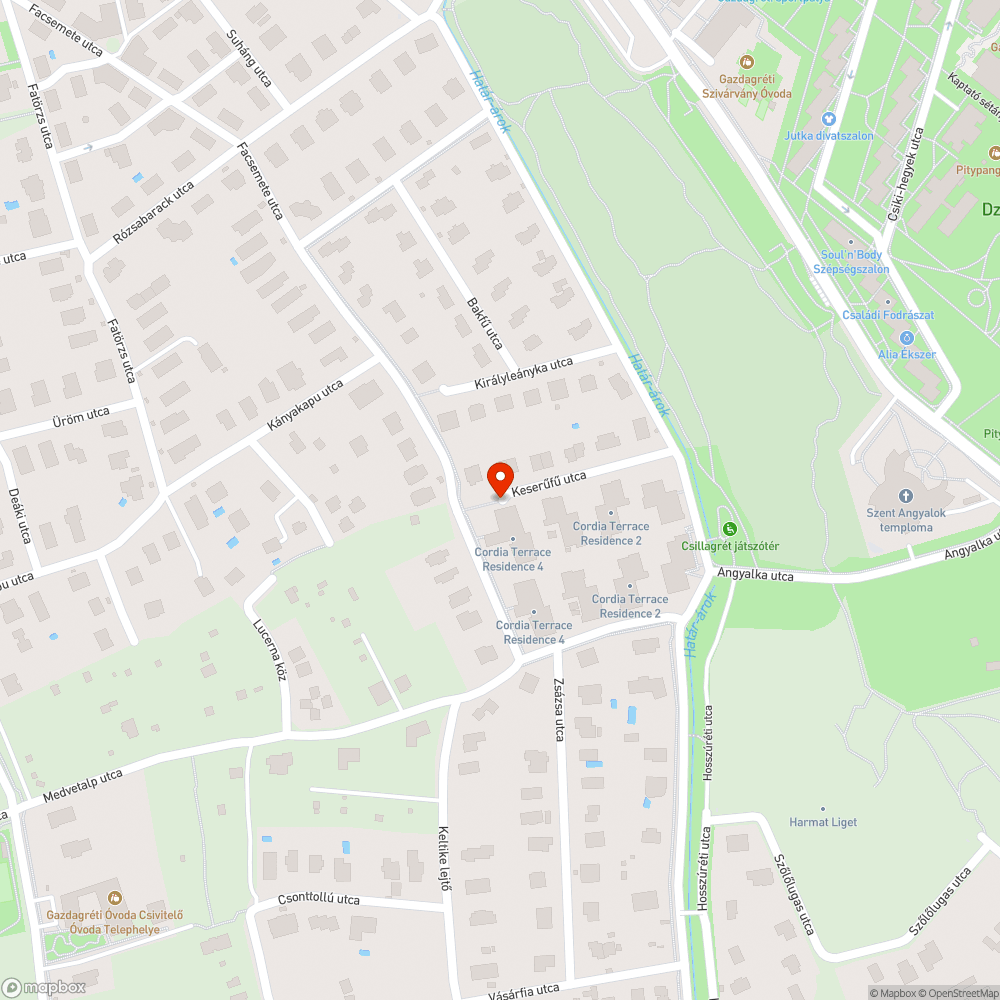 Parlagfű (?) bejelentés helye