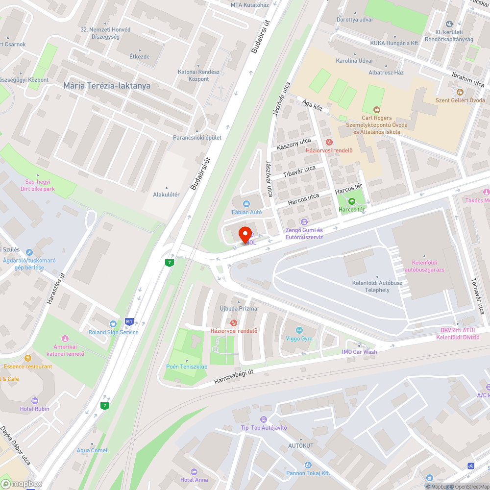 Ürítetlen szemetes a Nagyszőlős úton bejelentés helye