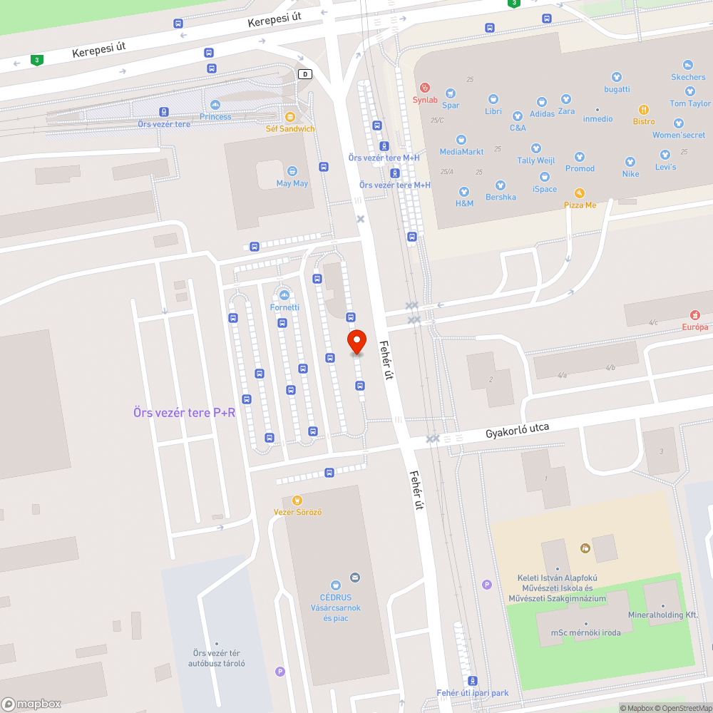 Gazos, szennyezett ágyások, bálványfa bejelentés helye