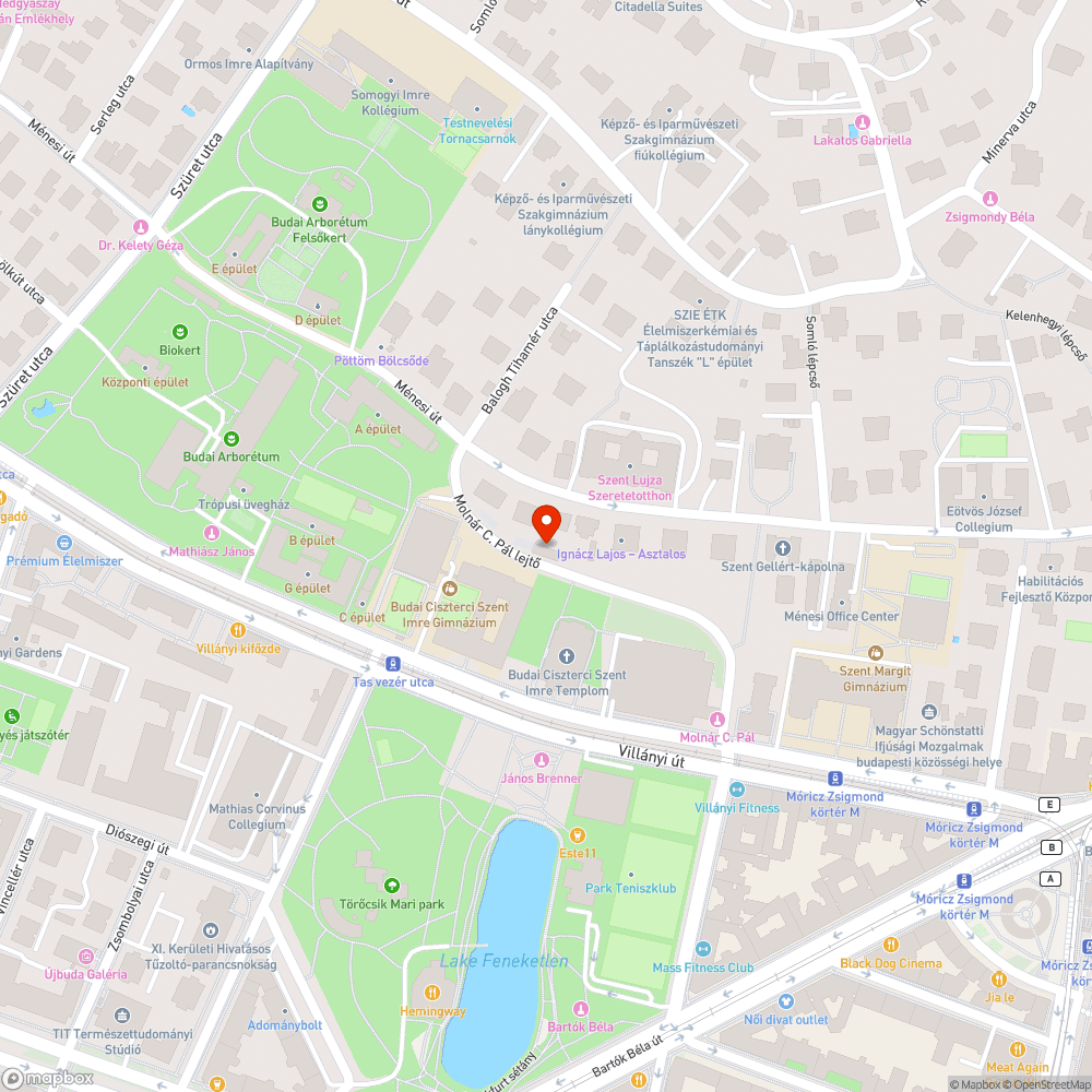 A Balogh lejtő utcában mindenhol firkák vannak. bejelentés helye