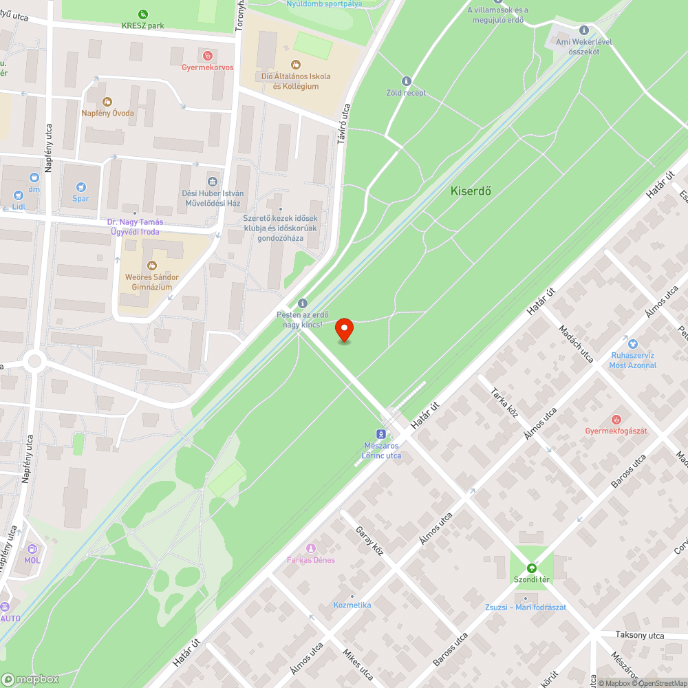 a járdát benőtte az erdő bejelentés helye