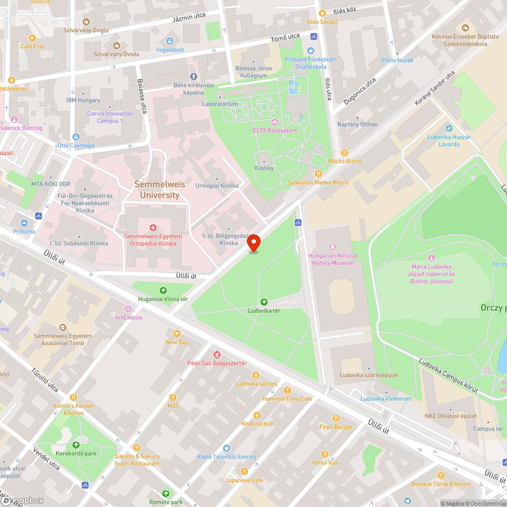 Kutyafuttató bejelentés helye