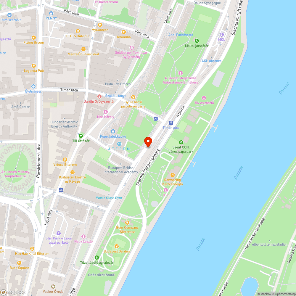 Mirigyes bálványfa és sarjak a vezetéknél bejelentés helye