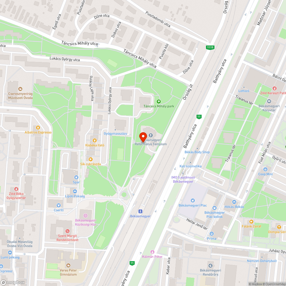 Fű benőtte a térköves járdát bejelentés helye