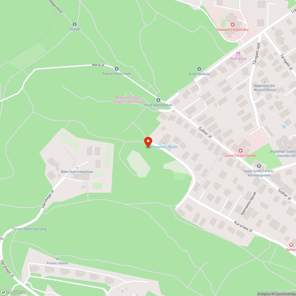 Szemét a Kuruclesi út végén az erdőben bejelentés helye