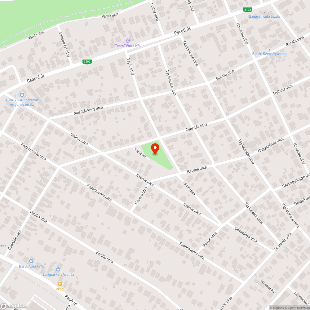 Elhanyagolt hinta bejelentés helye