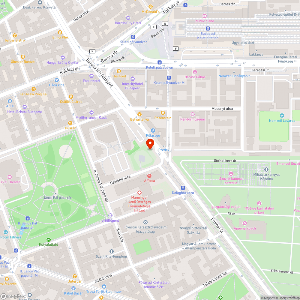 Felkopaszodott (beteg?) fa a Fiumei úton bejelentés helye