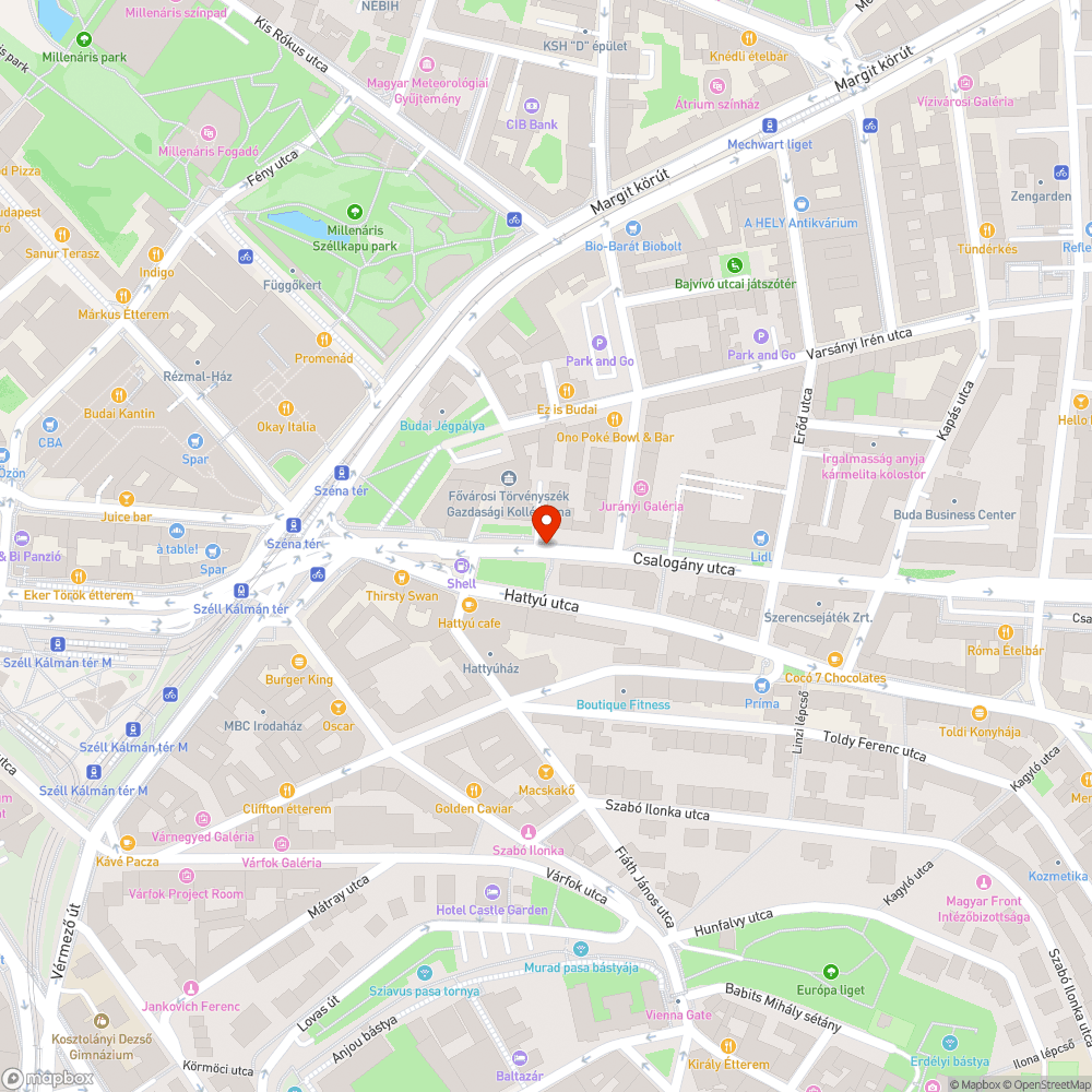 Regota parkolo oreg auto a Csalogany utcaban bejelentés helye