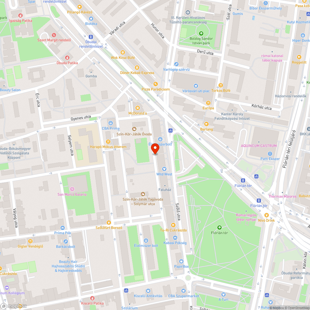 Kiszáradt nagy faág a járda fölött bejelentés helye