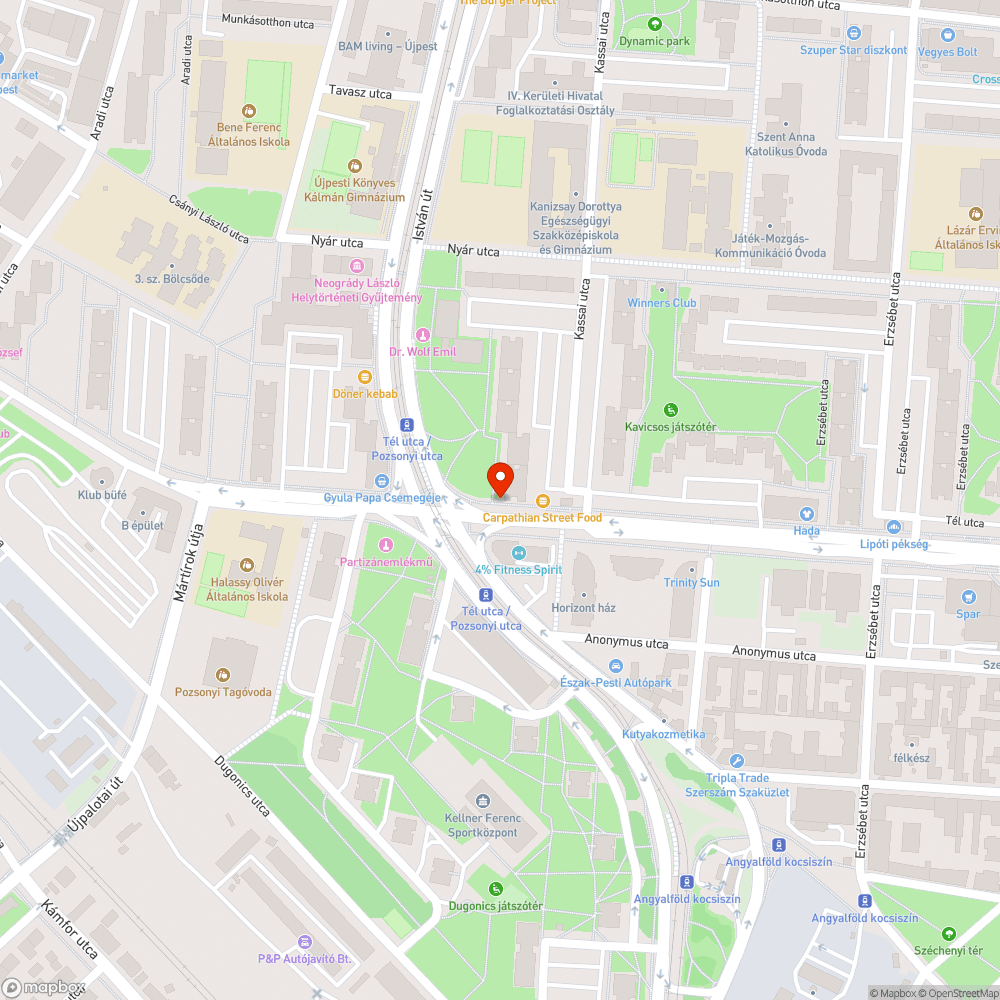 Kiszáradt fa bejelentés helye