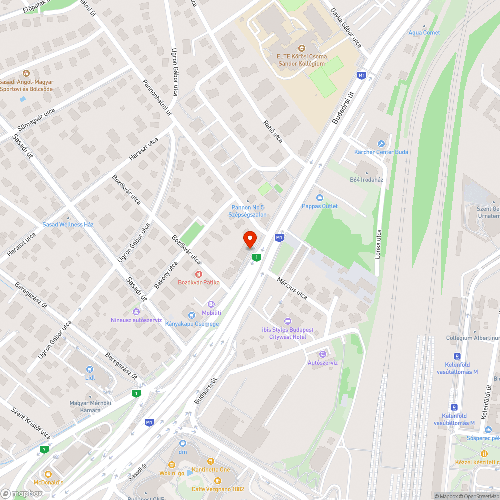 Dzsungel a járdán a Budaörsi úton bejelentés helye