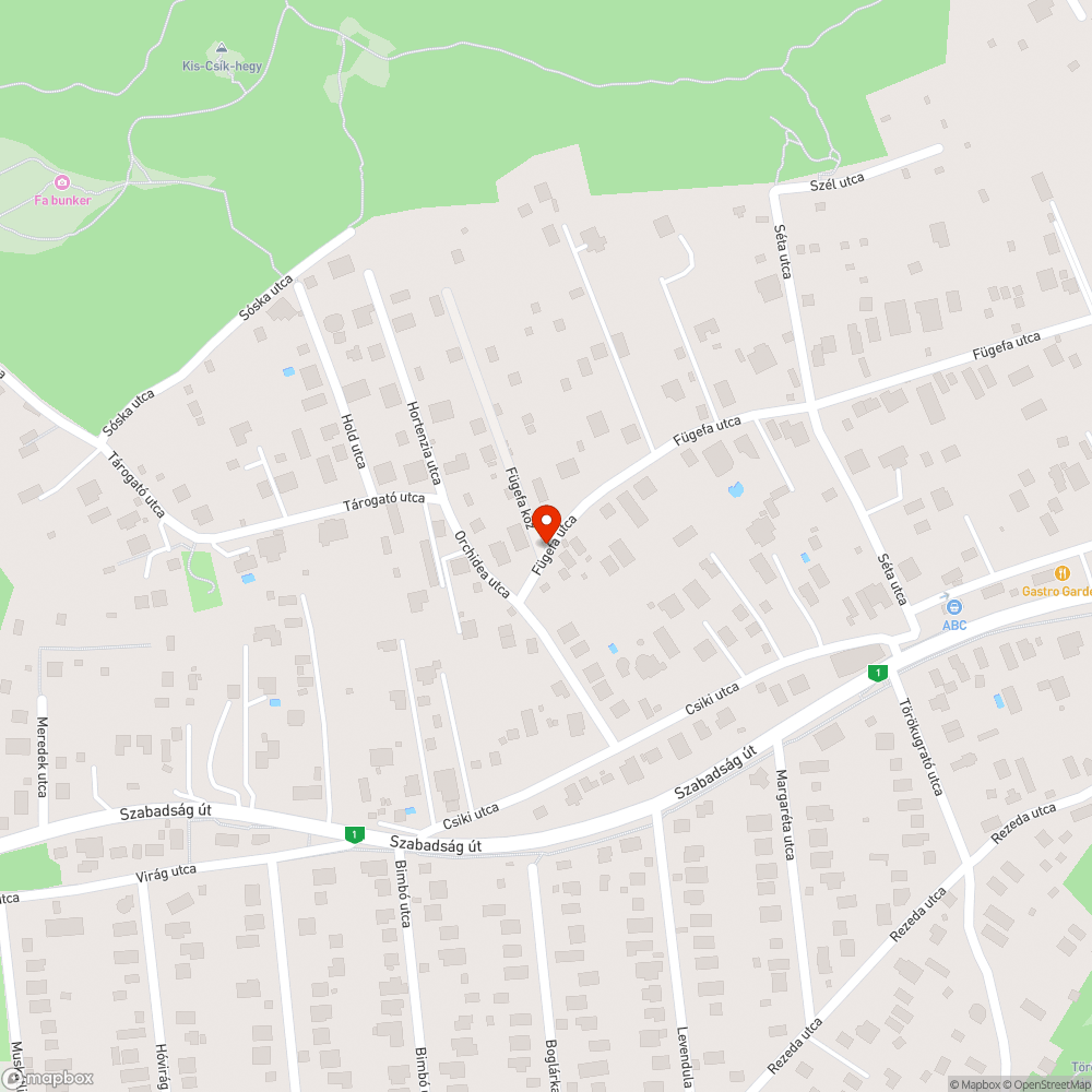 Kúszónövényzettel benőtt ELMÜ oszlop bejelentés helye