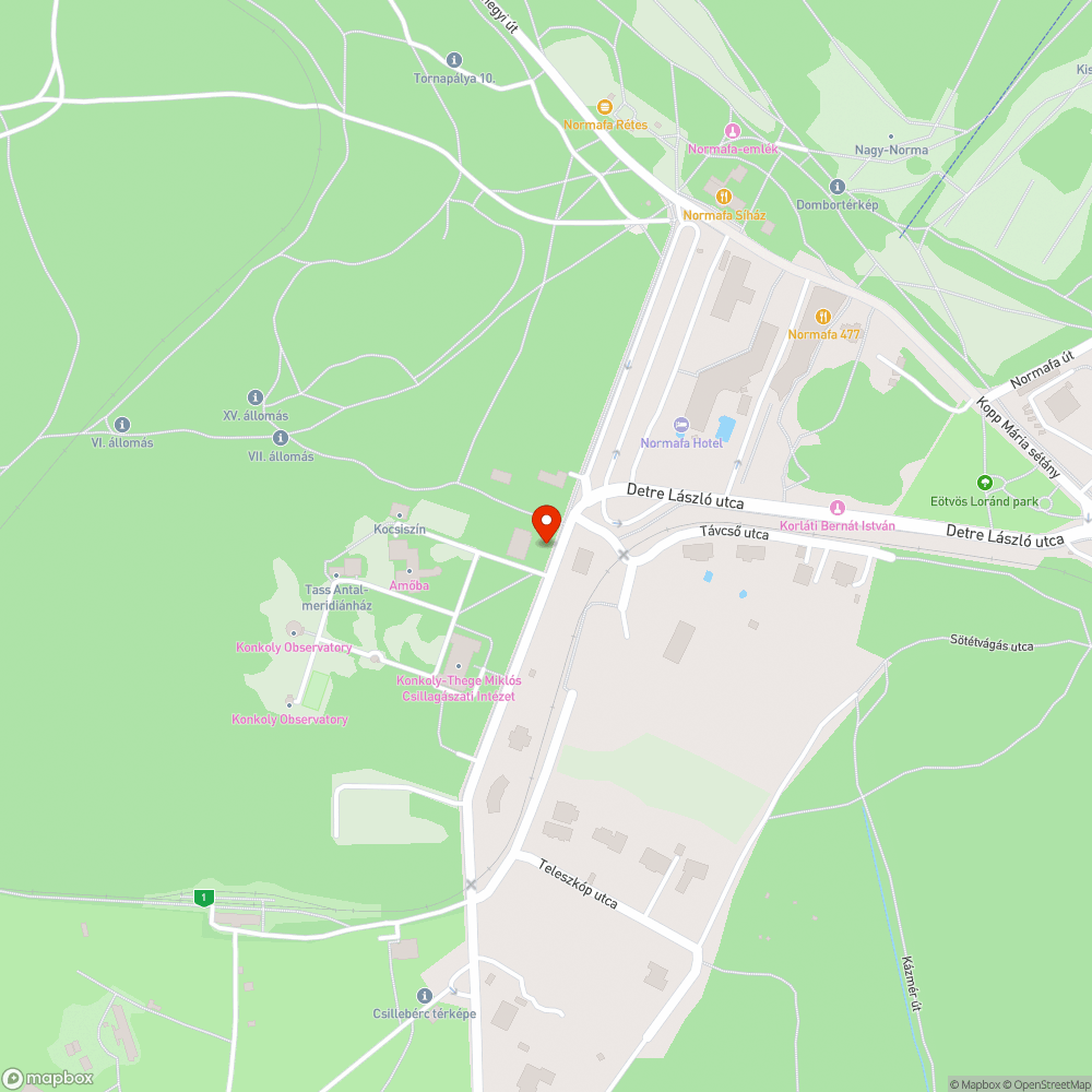 Járdára belógó parlagfű bejelentés helye